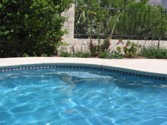 Recently installed the UltraGuard gray into our pool and we LOVE it